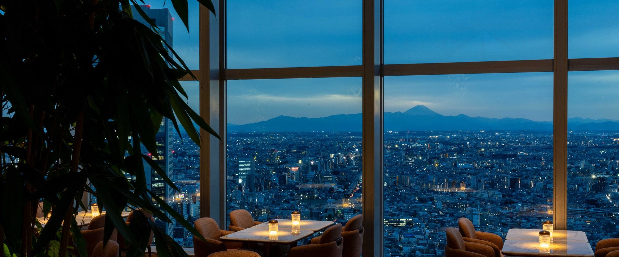 The view over Tokyo to Mount Fuji at dusk from the Park Hyatt Tokyo