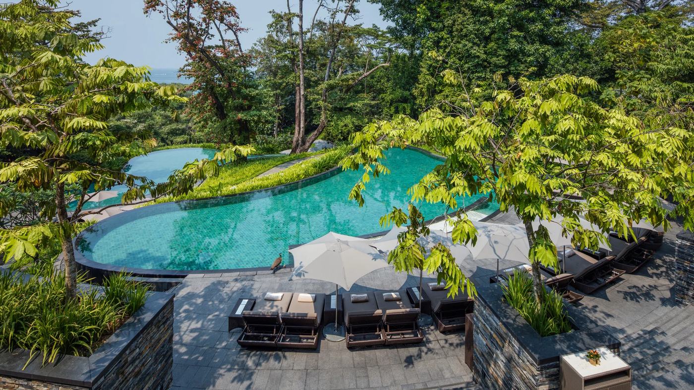 The rainforest infinity pools at Capella Singapore on Sentosa, with a peacock on the terrace